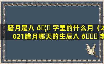 腊月是八 🦊 字里的什么月（2021腊月哪天的生辰八 🐞 字最好）